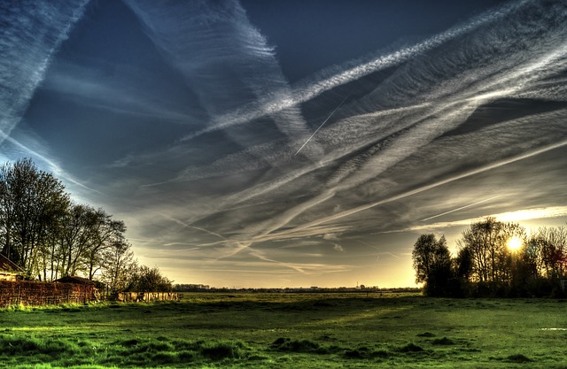 Wispy clouds above a grassy field at dusk